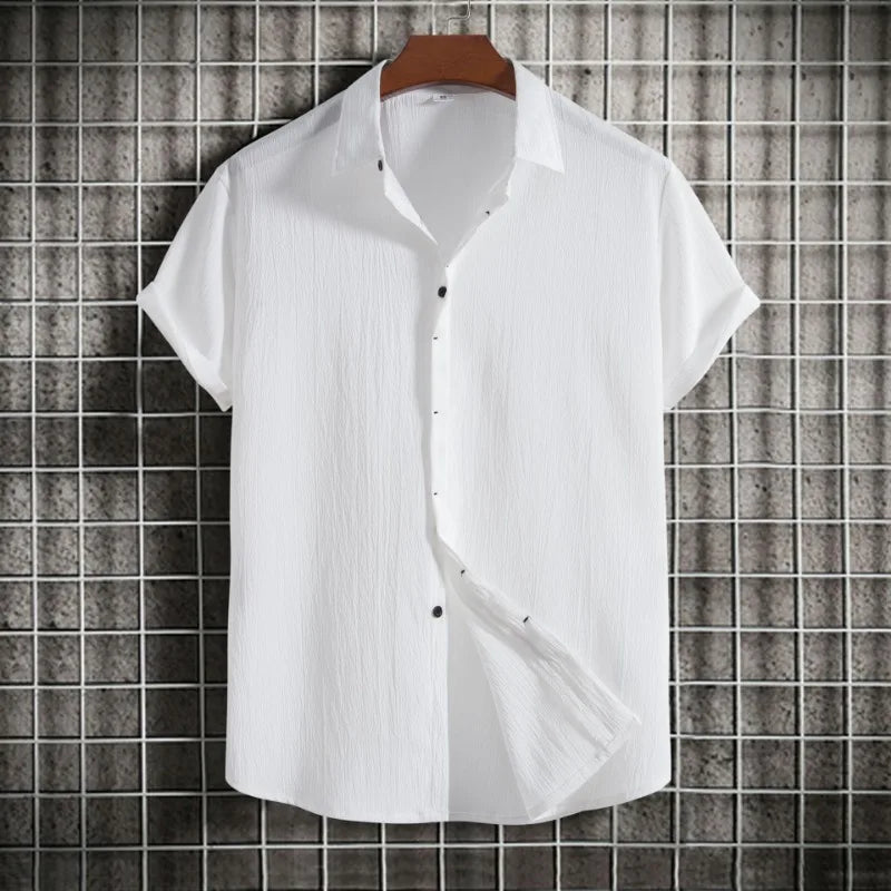 Camisa lisa de lino